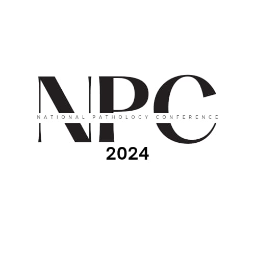 NPC 2024
